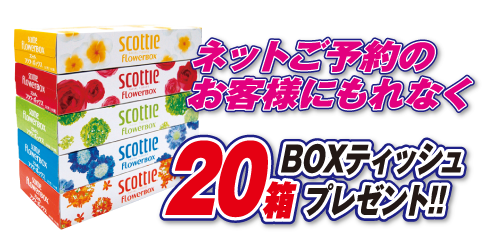 ボックスティッシュ